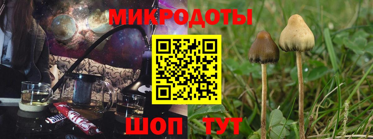 Псилоцибиновые грибы GOLDEN TEACHER  Вход с VPN  Галлюциногенные грибы Magic Shrooms  Котлас 